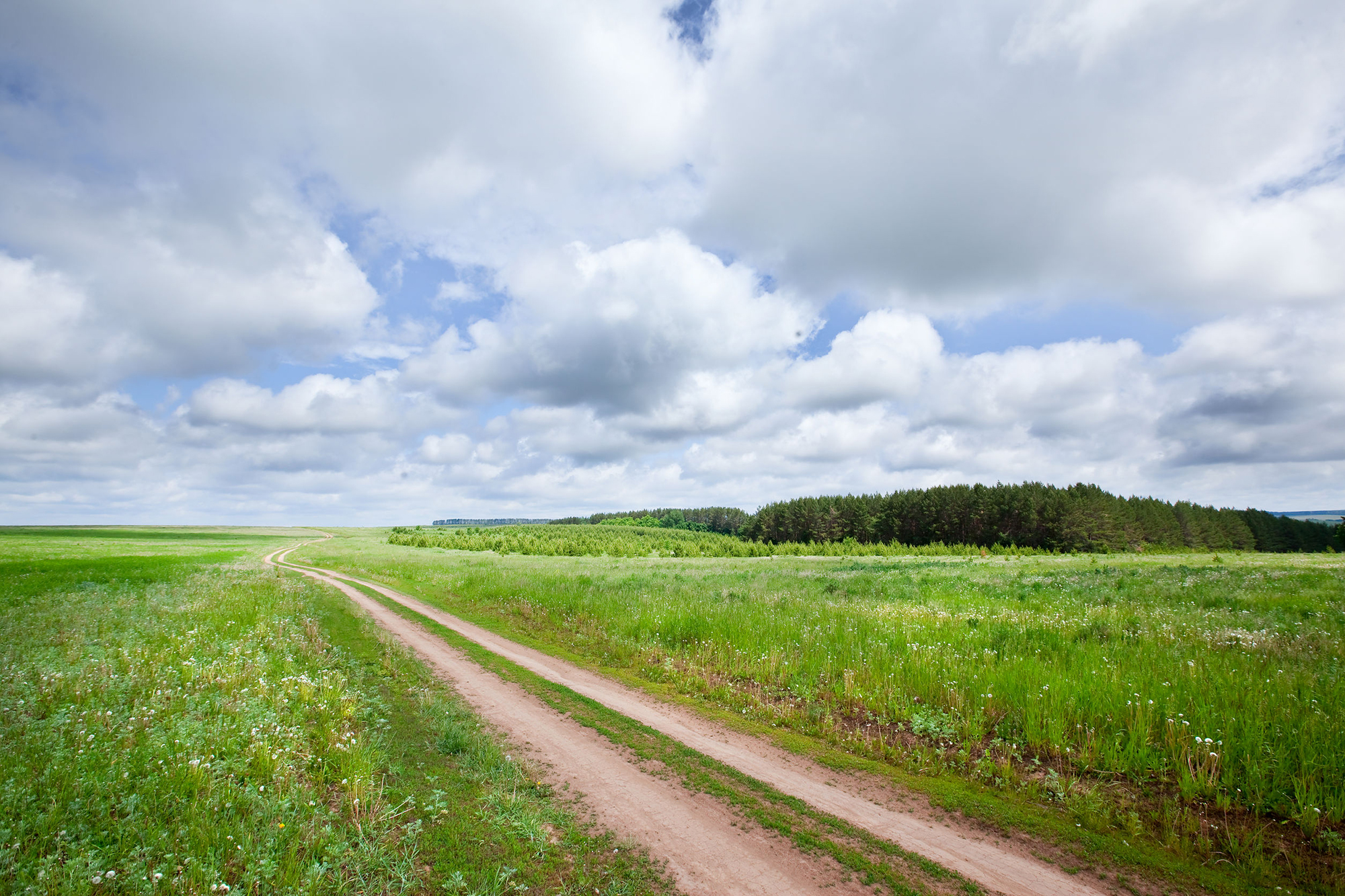 Weber Baumaschinen und Fahrzeuge GmbH